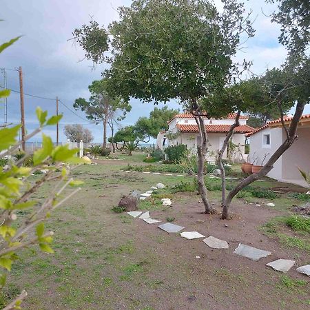 Vintage Beach House Agia Anna  Buitenkant foto