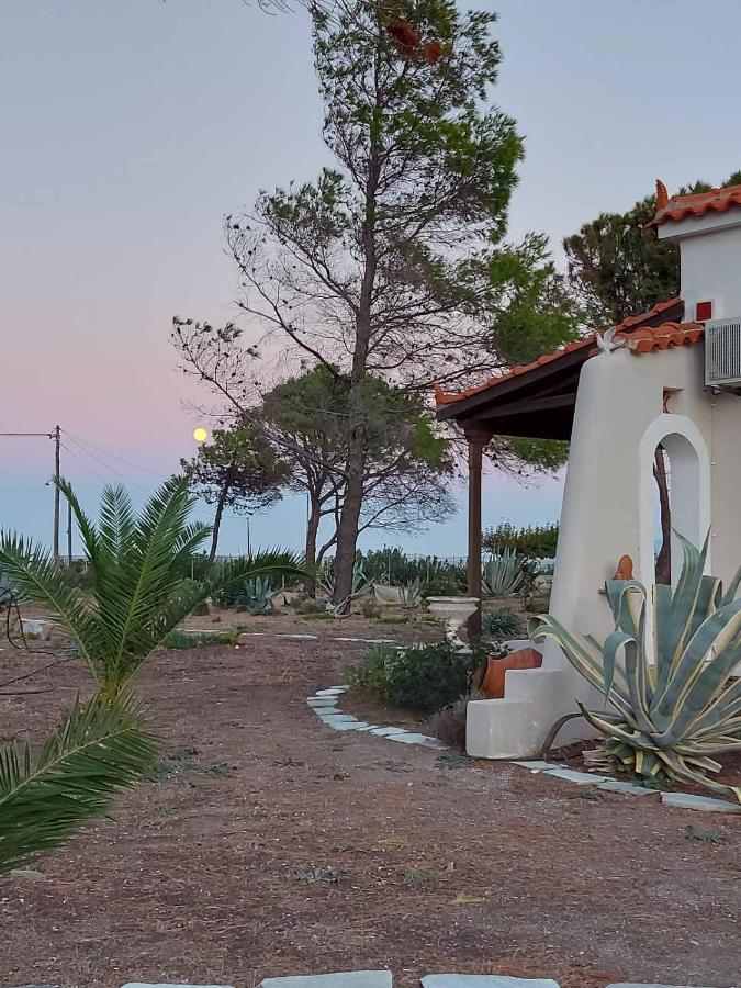 Vintage Beach House Agia Anna  Buitenkant foto